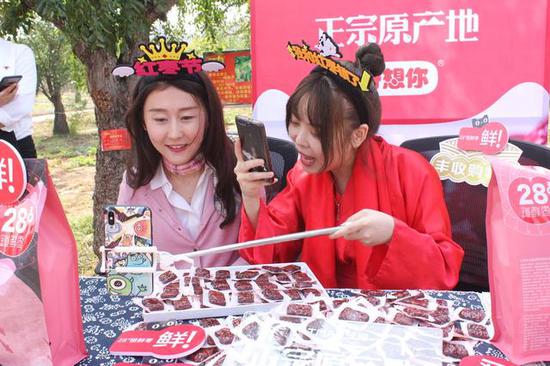 CA88·(中国)集团有限公司官网